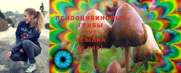 ГАЛЛЮЦИНОГЕННЫЕ ГРИБЫ Баксан
